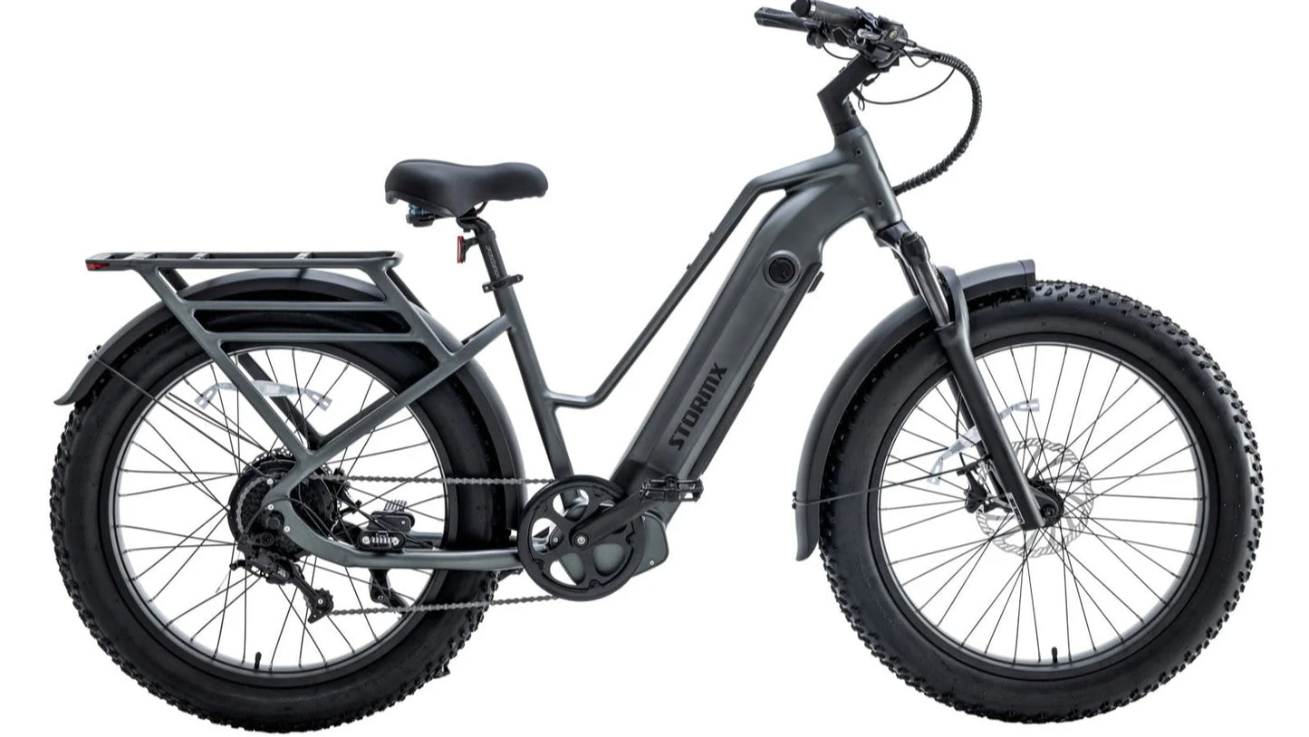 Favorite STORMX ST All-Terrain Fat Tire Ebike
