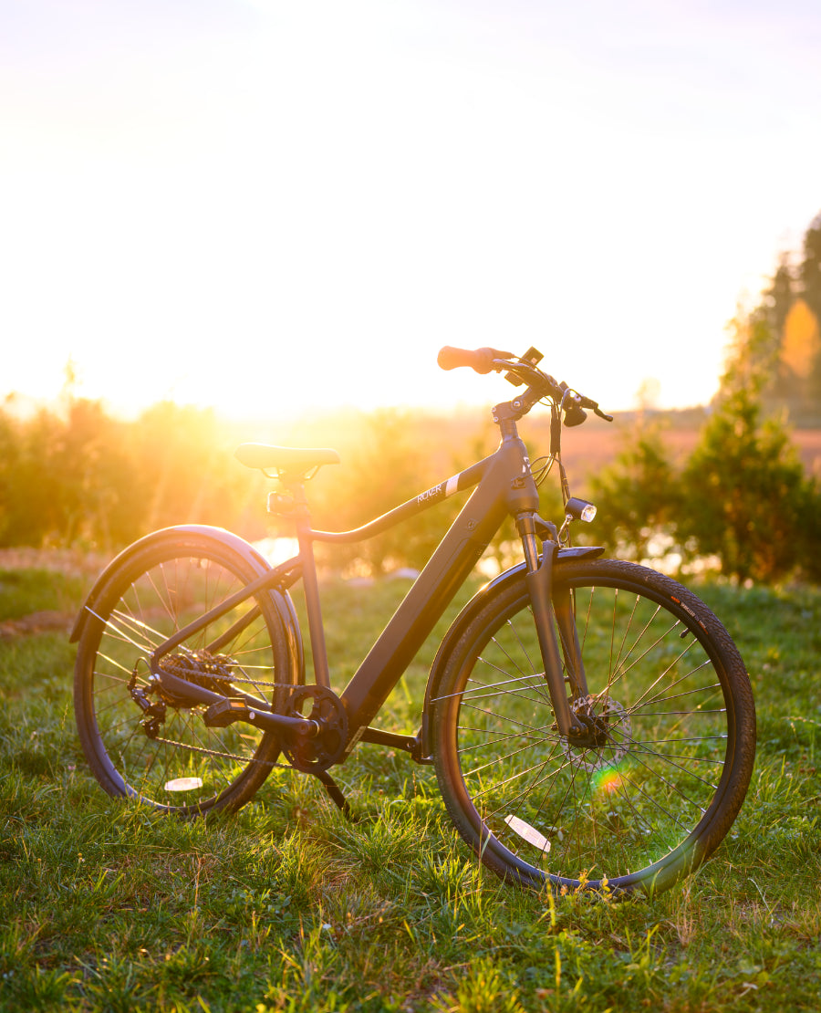 Rover eBike model X/Y