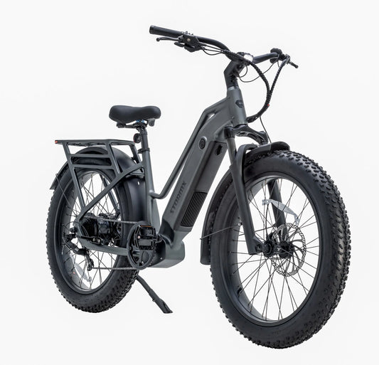 Favorite STORMX ST All-Terrain Fat Tire Ebike